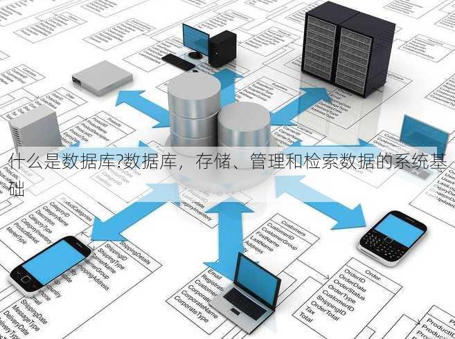 什么是数据库?
