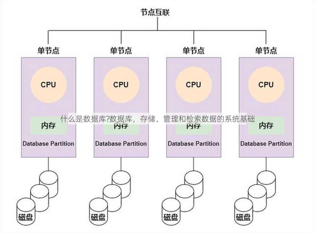什么是数据库?