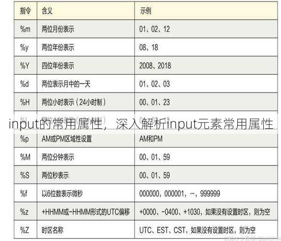 input的常用属性