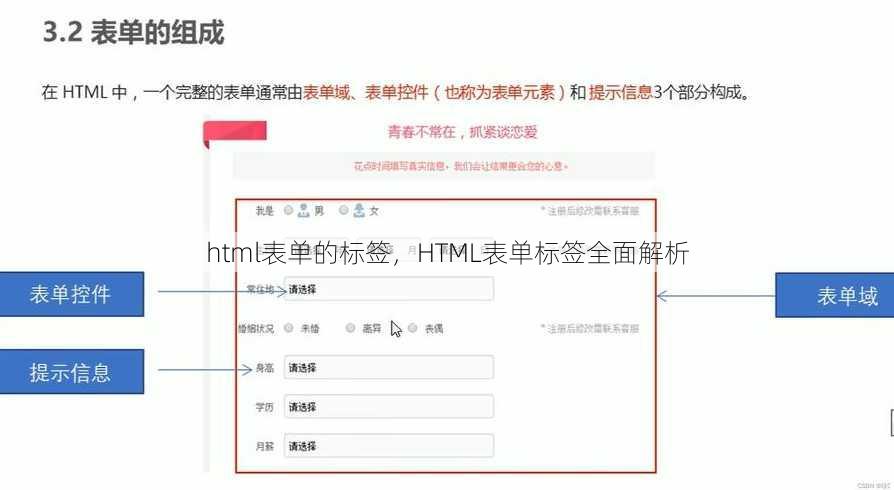 html表单的标签