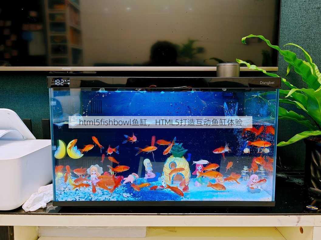 html5fishbowl鱼缸