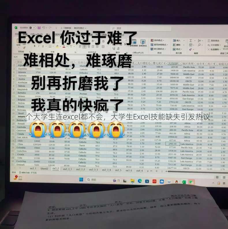 一个大学生连excel都不会