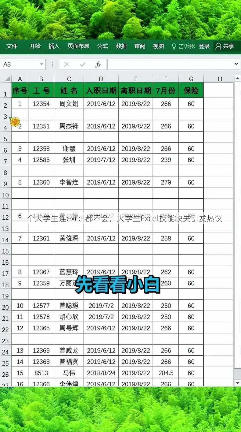 一个大学生连excel都不会
