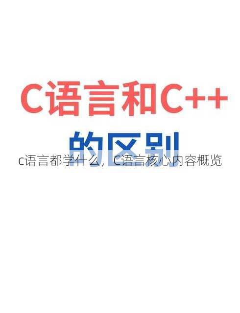 c语言都学什么