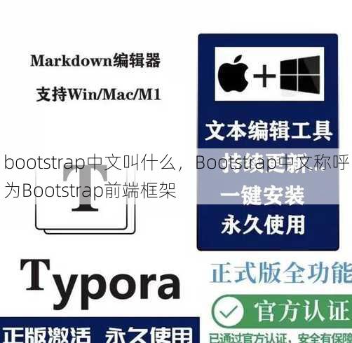 bootstrap中文叫什么