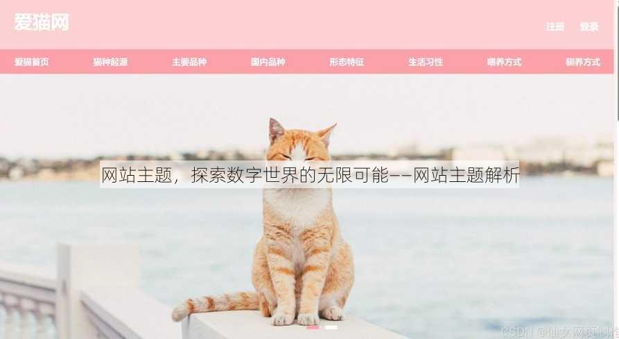 网站主题
