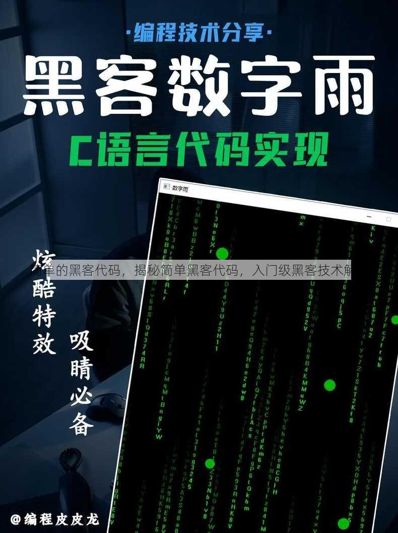 简单的黑客代码