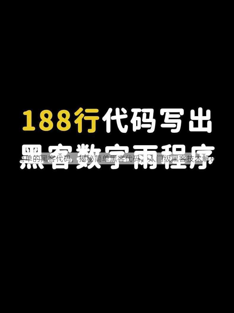 简单的黑客代码