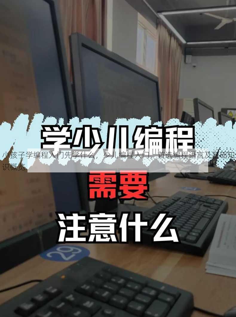 小孩子学编程入门先学什么