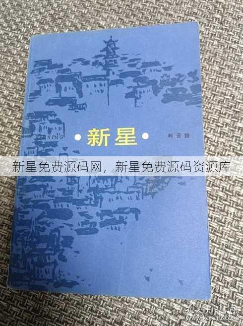新星免费源码网
