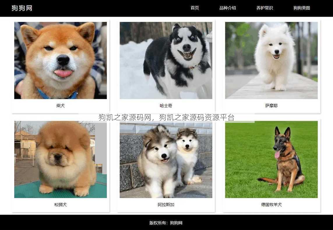 狗凯之家源码网