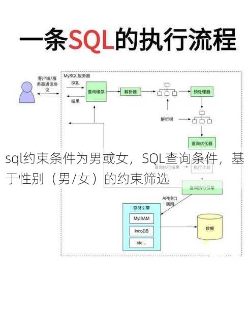 sql约束条件为男或女