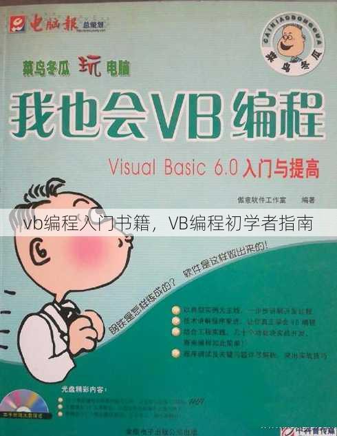 vb编程入门书籍