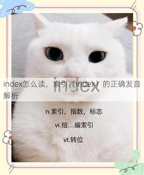 index怎么读