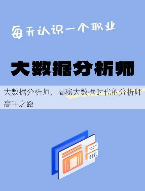 大数据分析师