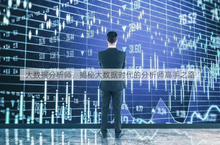 大数据分析师