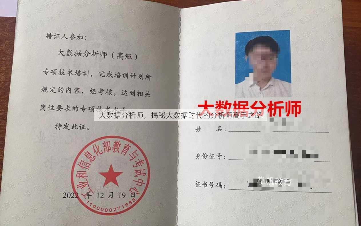 大数据分析师