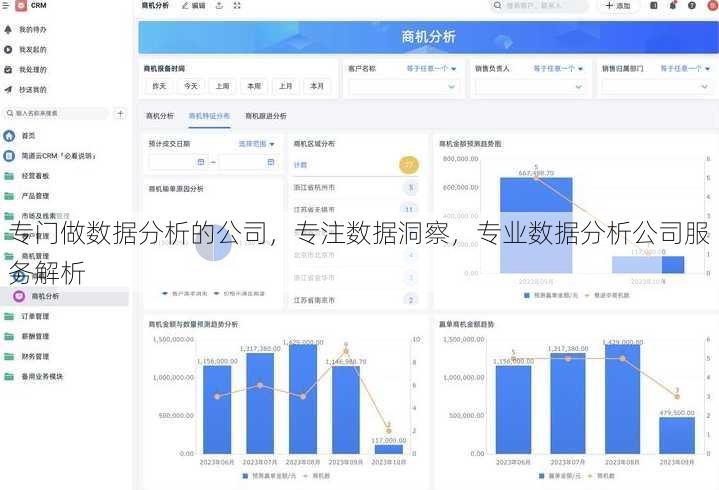 专门做数据分析的公司