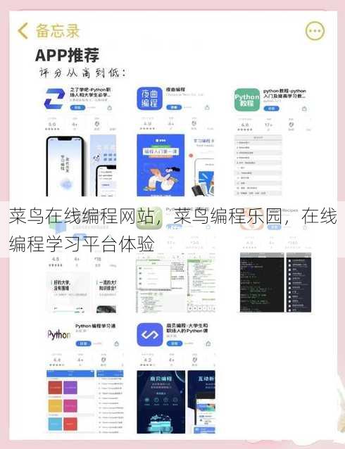 菜鸟在线编程网站