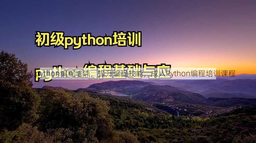 成人python编程培训