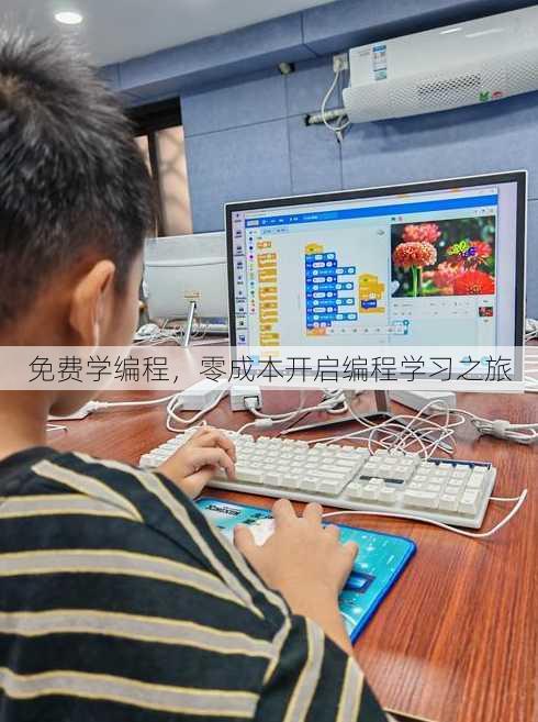 免费学编程