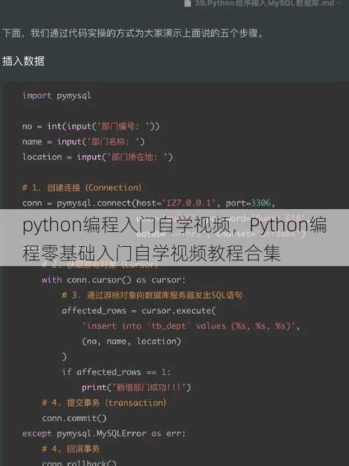 python编程入门自学视频