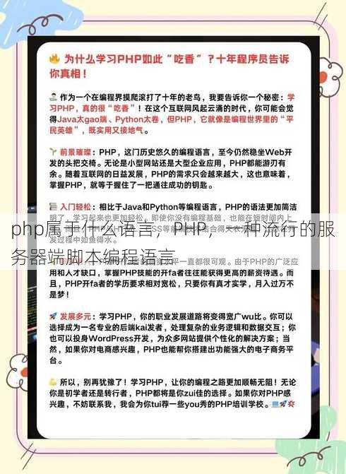 php属于什么语言