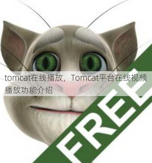 tomcat在线播放