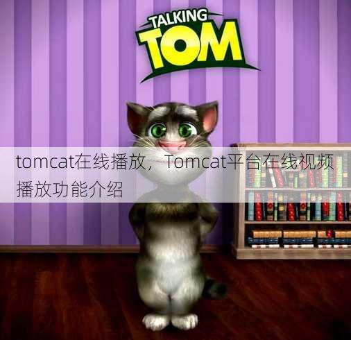 tomcat在线播放