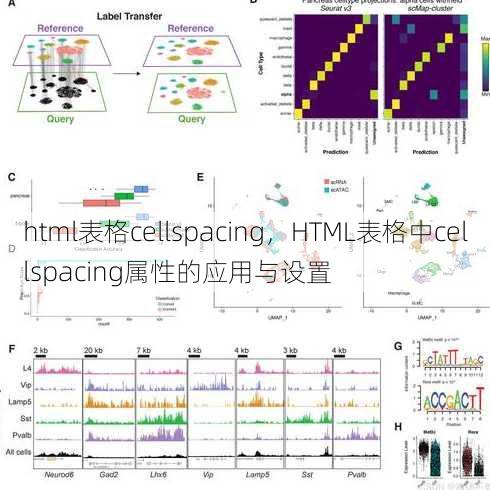 html表格cellspacing