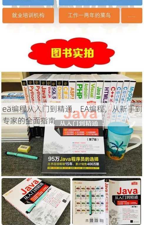 ea编程从入门到精通