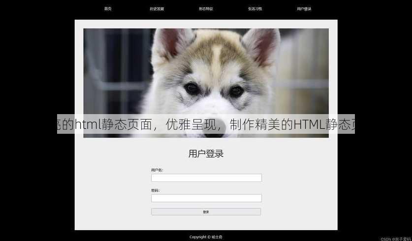 漂亮的html静态页面