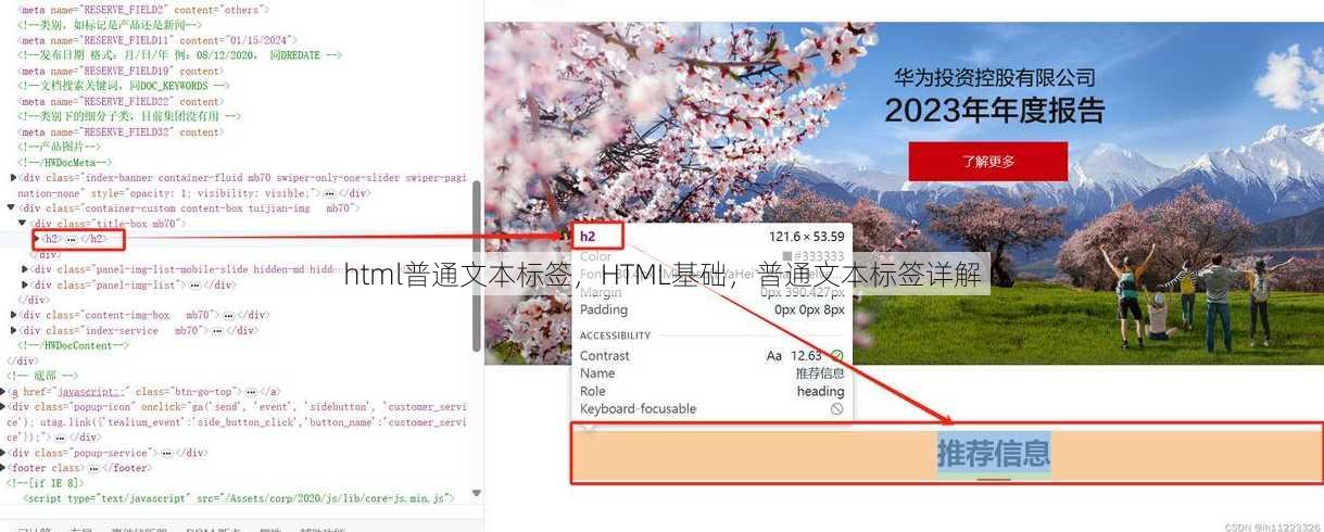 html普通文本标签