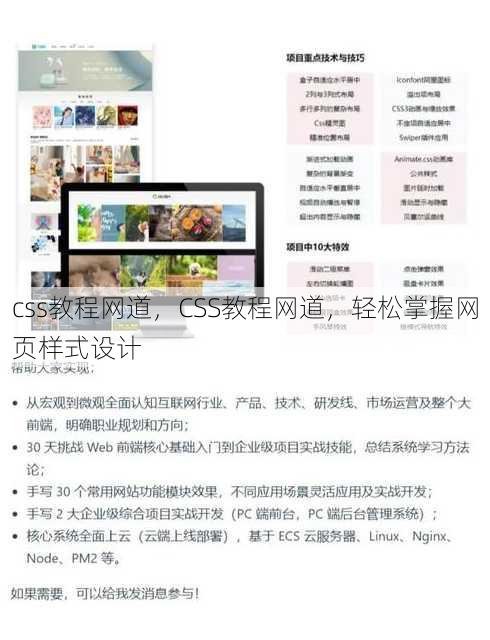 css教程网道