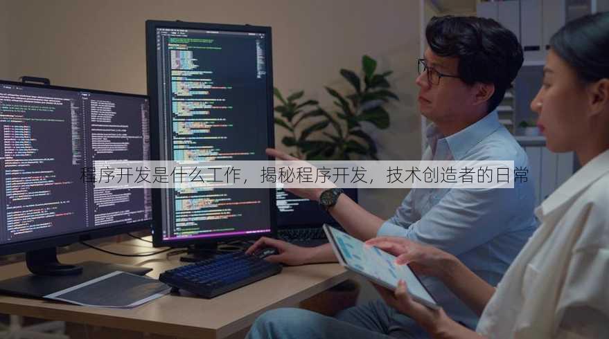 程序开发是什么工作