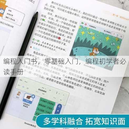 编程入门书