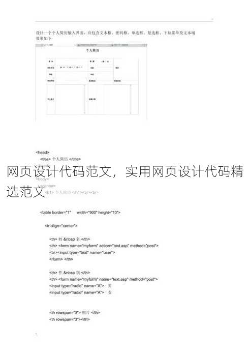 网页设计代码范文