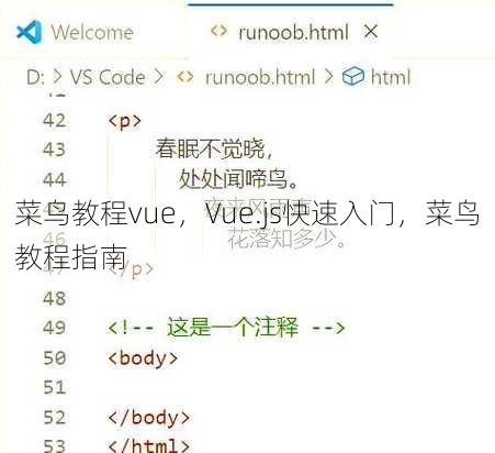 菜鸟教程vue