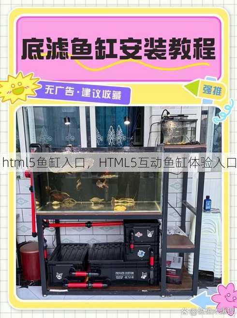 html5鱼缸入口