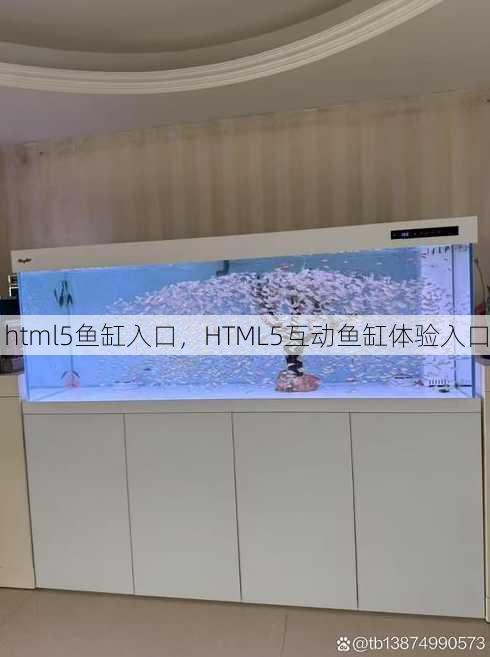 html5鱼缸入口
