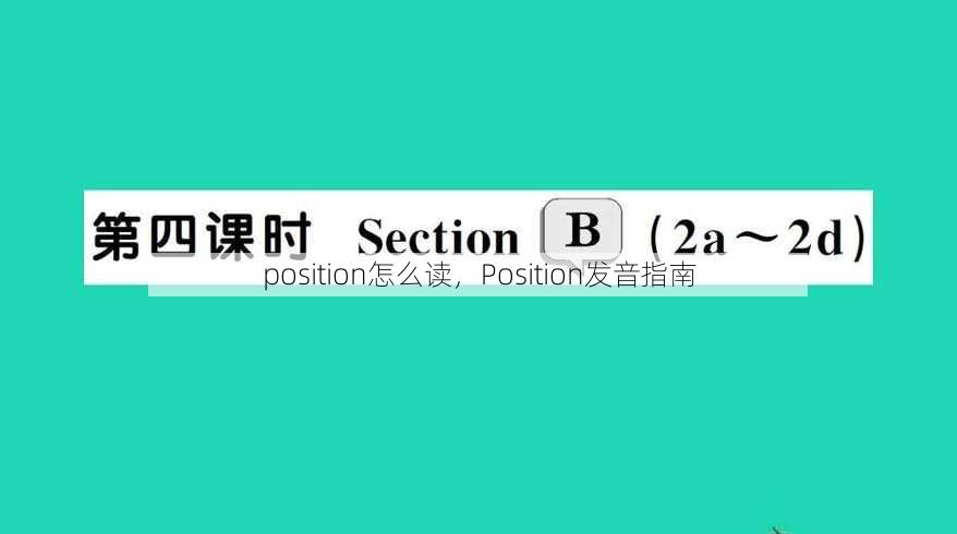 position怎么读