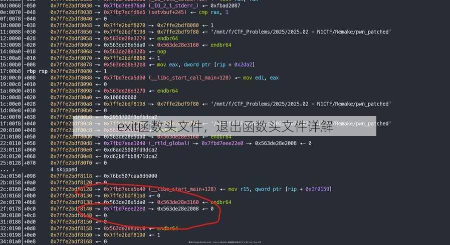 exit函数头文件