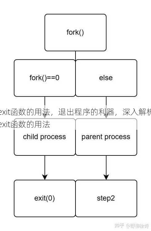 exit函数的用法