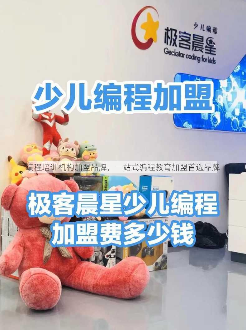 编程培训机构加盟品牌