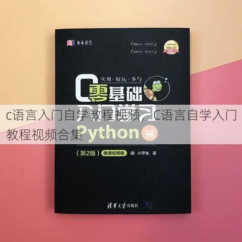 c语言入门自学教程视频