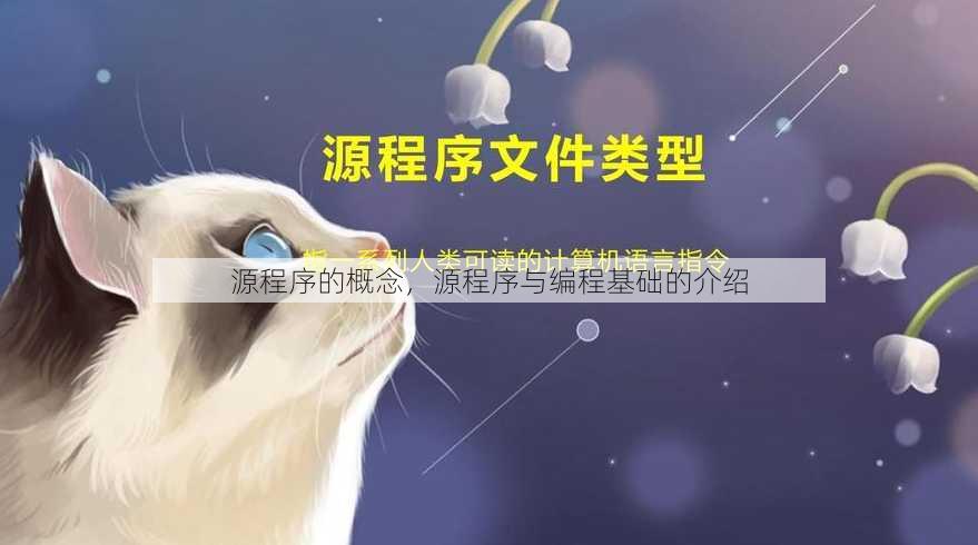 源程序的概念
