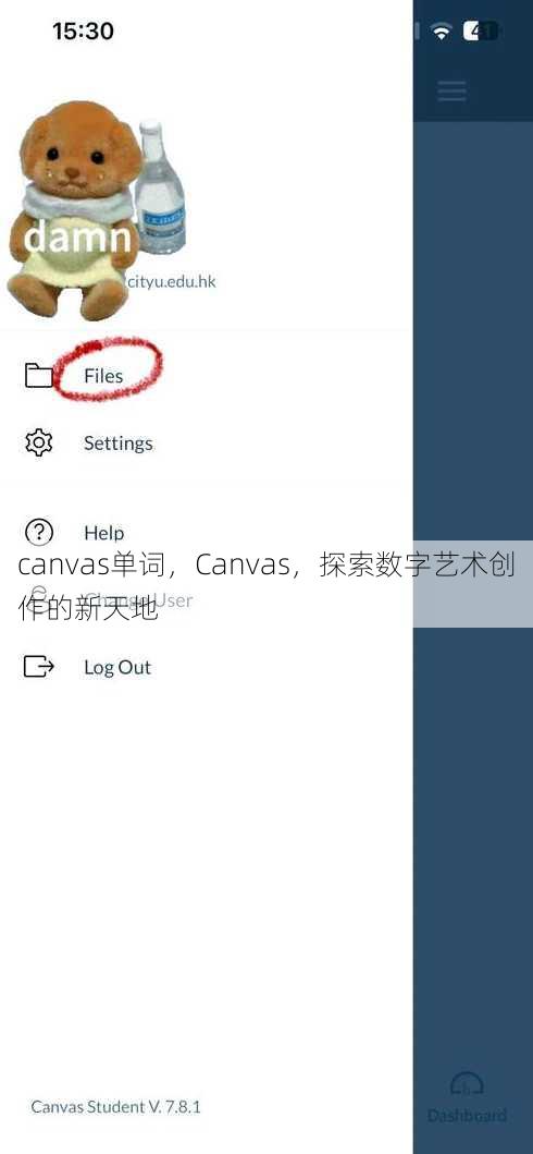 canvas单词