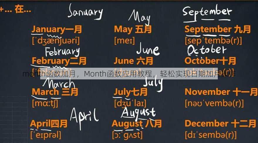month函数加月