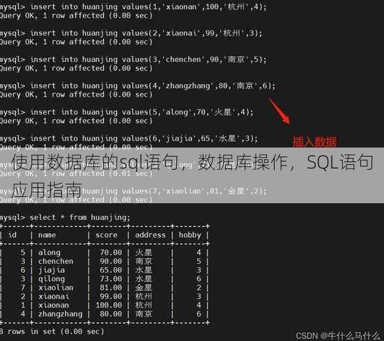 使用数据库的sql语句