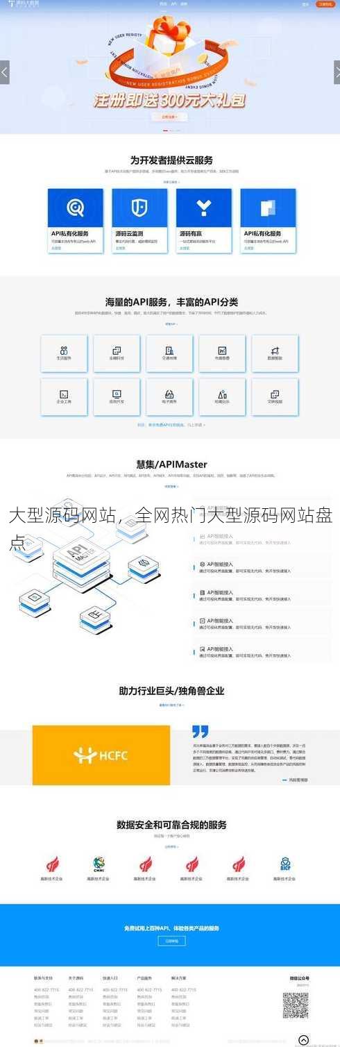 大型源码网站